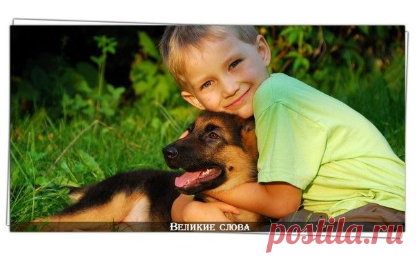 Однажды маленький мальчик спросил свою мать:
— Мама, почему взрослые люди спорят и гневаются друг на друга?
— Я не знаю, малыш. — ответила она, — Так было всегда. Может быть, когда ты вырастешь, ты сможешь изменить это.
— Как? — спросил ребёнок.
— Вместо того чтобы пытаться быть правым, попытайся быть любящим