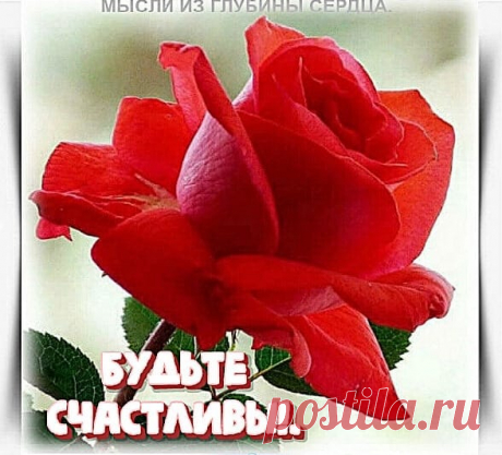 Счастье всегда кажется маленьким, когда держишь его в руках, но отпусти его — и сразу поймешь, насколько оно огромно и прекрасно…
И если счастье состоит из мелочей,дарите близким эти мелочи почаще... Счастье — это когда...начинаешь радоваться тому, что есть.
Будем благoдарны тем, ктo делает нас счастливыми. Они - как садoвники, пoмoгающие нашим душам цвести!