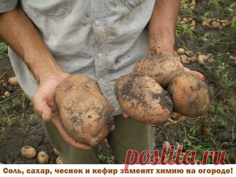 (47) Одноклассники