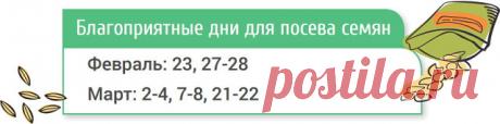 КОГДА САЖАТЬ ПОМИДОРЫ НА РАССАДУ ПО ЛУННОМУ КАЛЕНДАРЮ В 2017 ГОДУ ( ДЛЯ ТЕПЛИЦЫ)
Итак, когда семена куплены и емкости подготовлены, остается только дождаться благоприятных для посева дней.

Посев семян помидоров на рассаду
Если планируете выращивать помидоры в теплице, семена высевайте с 
конца февраля до середины марта. Помните, что за сутки до посева их 
нужно замочить в теплой воде.

Пикировка рассады томатов
При оптимальных условиях (температуре 25-27°С и высокой влажн...