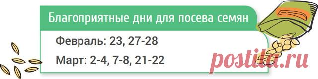 КОГДА САЖАТЬ ПОМИДОРЫ НА РАССАДУ ПО ЛУННОМУ КАЛЕНДАРЮ В 2017 ГОДУ ( ДЛЯ ТЕПЛИЦЫ)
Итак, когда семена куплены и емкости подготовлены, остается только дождаться благоприятных для посева дней.

Посев семян помидоров на рассаду
Если планируете выращивать помидоры в теплице, семена высевайте с 
конца февраля до середины марта. Помните, что за сутки до посева их 
нужно замочить в теплой воде.

Пикировка рассады томатов
При оптимальных условиях (температуре 25-27°С и высокой влажн...