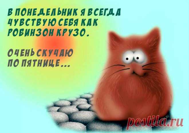 Самые смешные картинки для поднятия настроения в понедельник