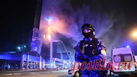 7 нестыковок "Крокуса". Новые детали! «Концерт – это приманка», «Люди в синем» и др. | Не пропусти! ✪ В тренде | Дзен