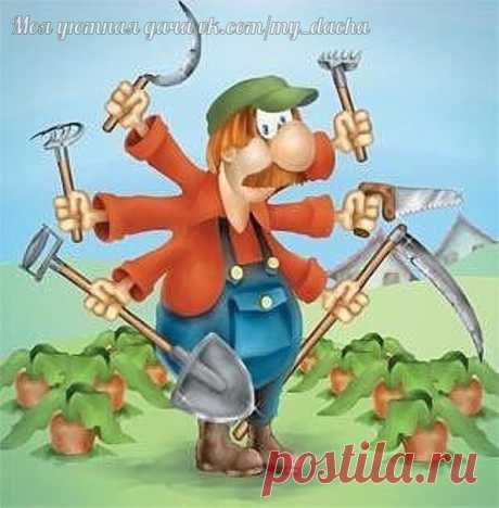 От дачника к дачнику, делимся опытом!