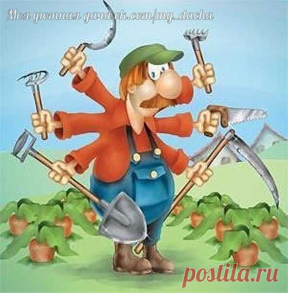 От дачника к дачнику, делимся опытом!