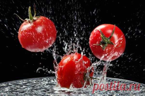 7 маленьких секретов выращивания вкусных помидоров / томаты / 7dach.ru