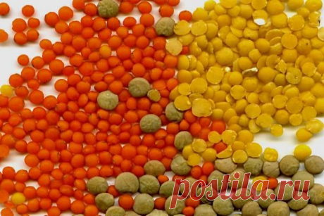 Как вкусно приготовить чечевицу? | LS