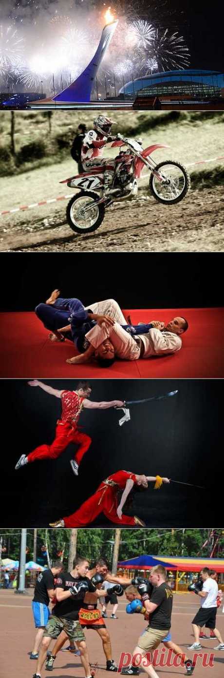 Го, Плавание, Голбол, Подводный спорт. (1/1) - Спортивный форум. - Спортивный сайт