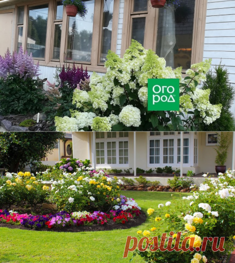 Цветы | Подборка статей | (Огород.ru)