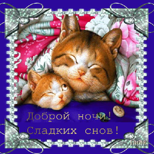 живые открытки спокойной ночи - Поиск в Google