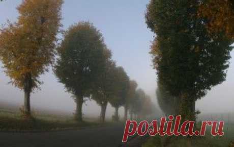 Природа обои. Картинки, фото скачать. Страница 37.