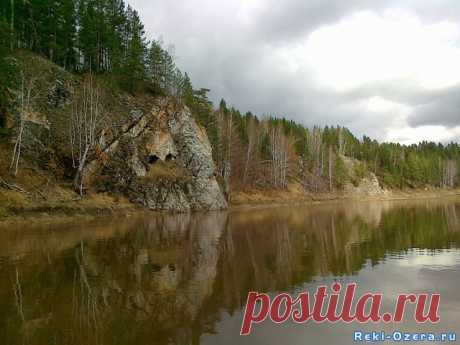 (40) Одноклассники