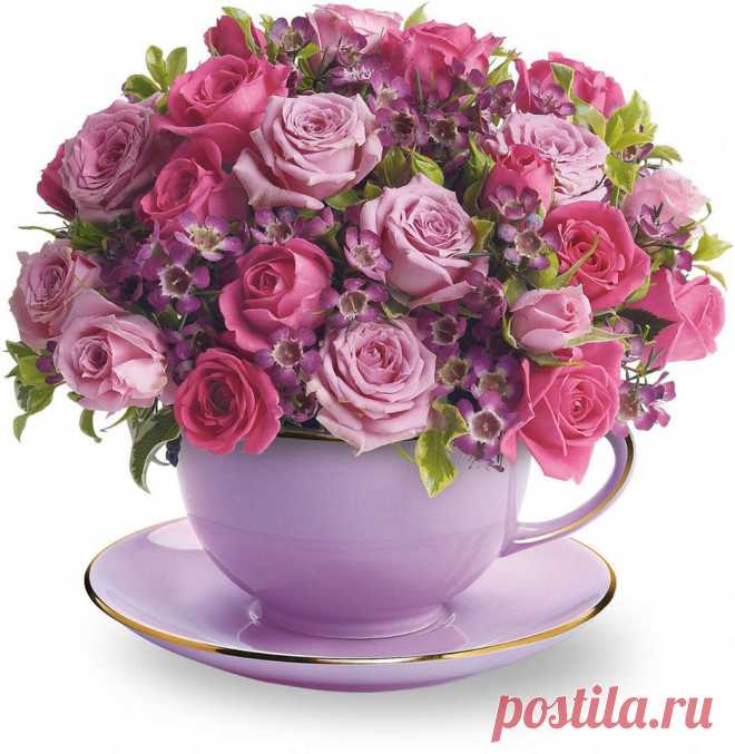 (11) Facebook