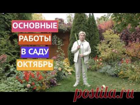 НЕ ЗАБУДЬТЕ СДЕЛАТЬ ЭТО В САДУ В ОКТЯБРЕ