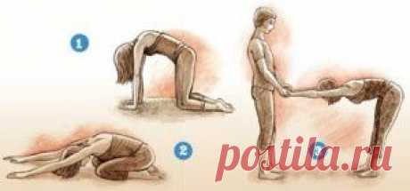 Комплекс для коррекции сколиоза