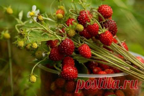 Всё, что мне интересно