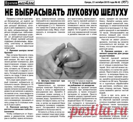 Не выбрасывать луковую шелуху