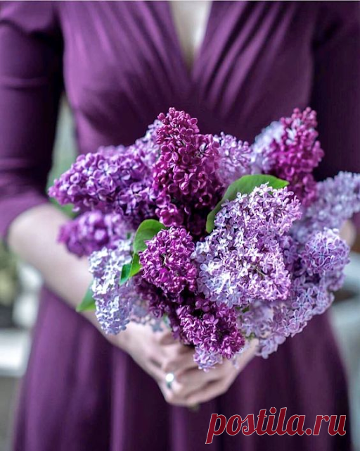 Секреты Хорошей Жизни: Воистину, лучшей "половине" человечества 💜