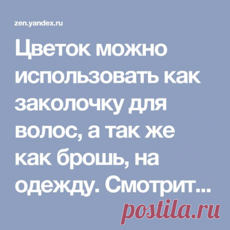 (291) Pinterest