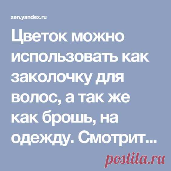 (291) Pinterest