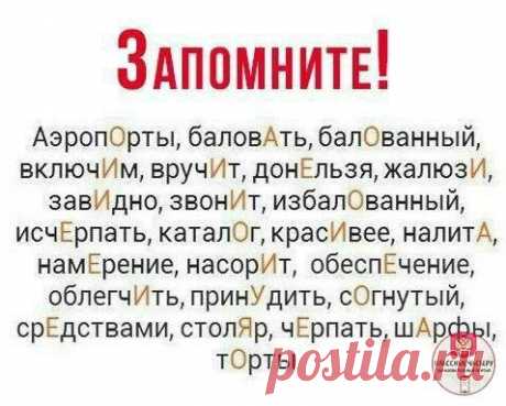 Пин содержит это изображение: