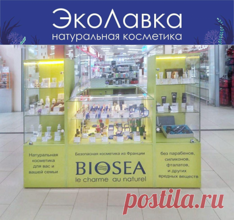 Эко лавка - экологически чистый франчайзинг