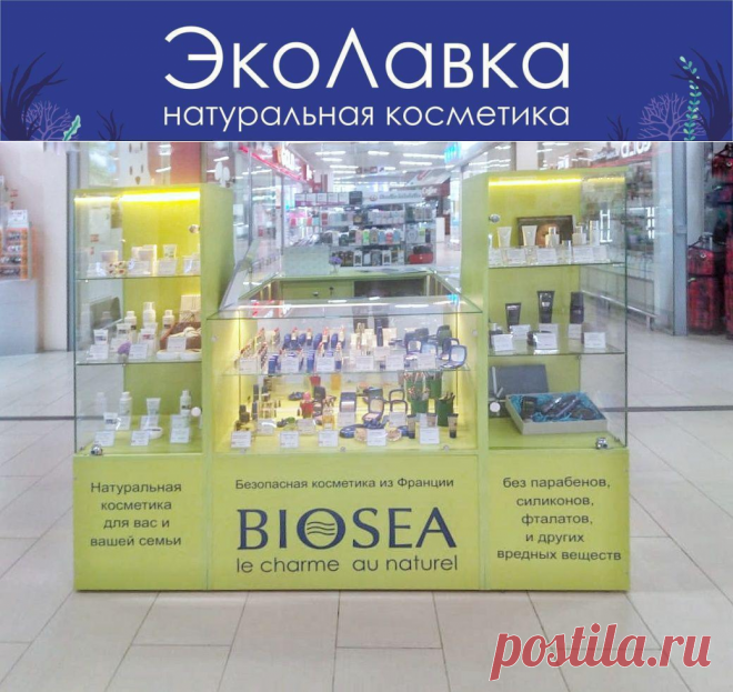 Эко лавка - экологически чистый франчайзинг