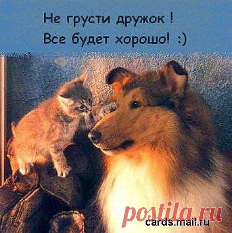 Дружба