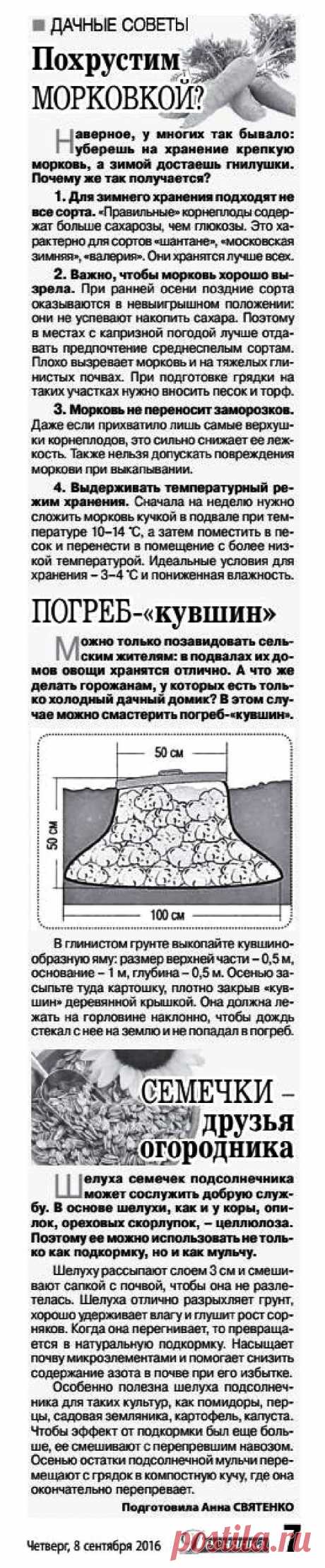 Дачные советы - сентябрь
