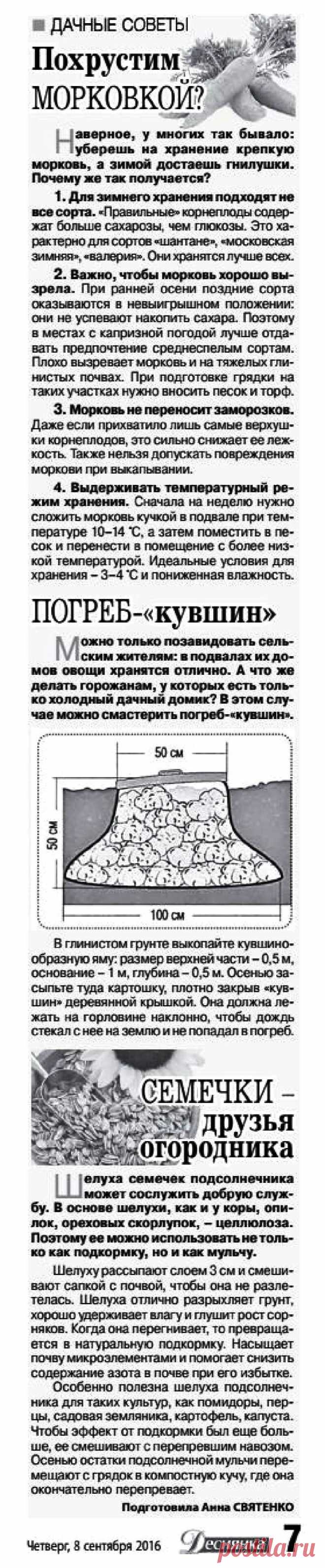 Дачные советы - сентябрь