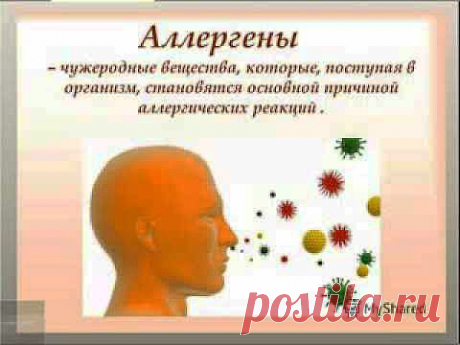 Аллергозы легче предупредить Ольга Шершун 190314 .