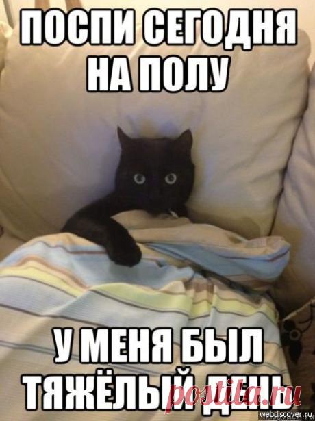 Думаете, только вам тяжело вставать утром в понедельник?