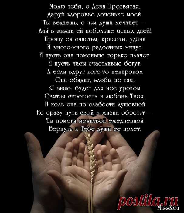 Дневник ессения