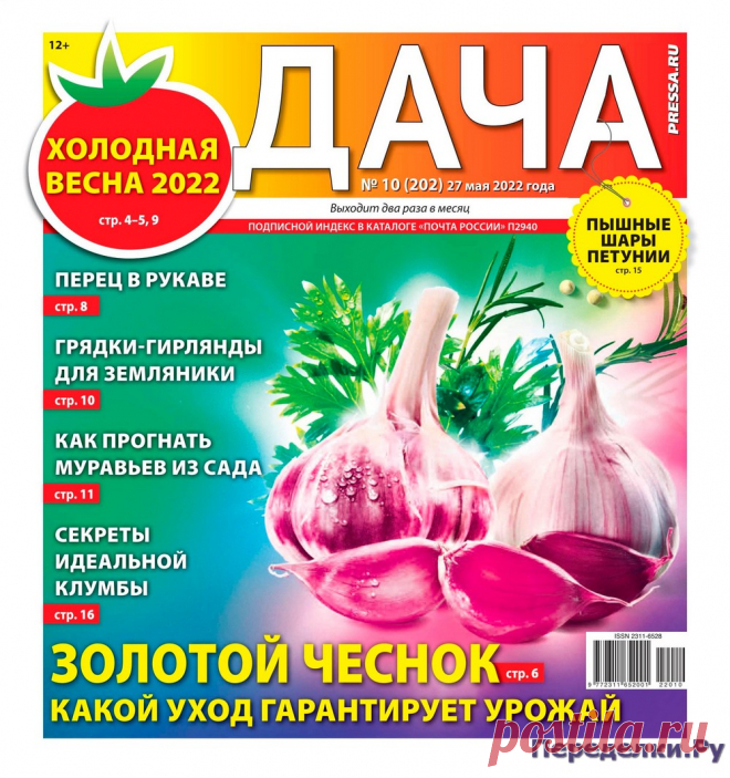 Дача №10 2022 - Переделки.РуПеределки.Ру