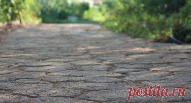 По совету в какой-то статье добавил в бетонный раствор моющее средство. Что же в итоге получилось
Бетонные работы — вещь интересная. Тяжелая, грязная, но зато сколько таинств в себе несет — не перечесть. Одно из таких таинств — повышение пластичности приготовленного раствора. Что важно, когда идет «фигуристая» заливка. Например, как в моем случае, заливка форм садовой дорожки, которую я сделал...
Читай дальше на сайте. Жми подробнее ➡