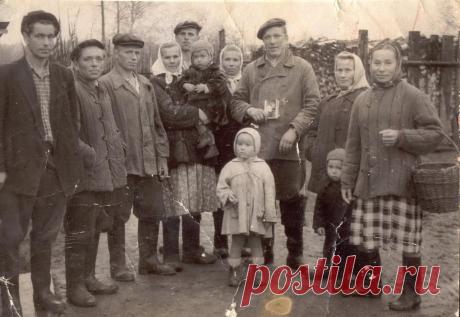 полозов в костромской журналистской организации в 1960-1970 г.: 10 тыс изображений найдено в Яндекс.Картинках