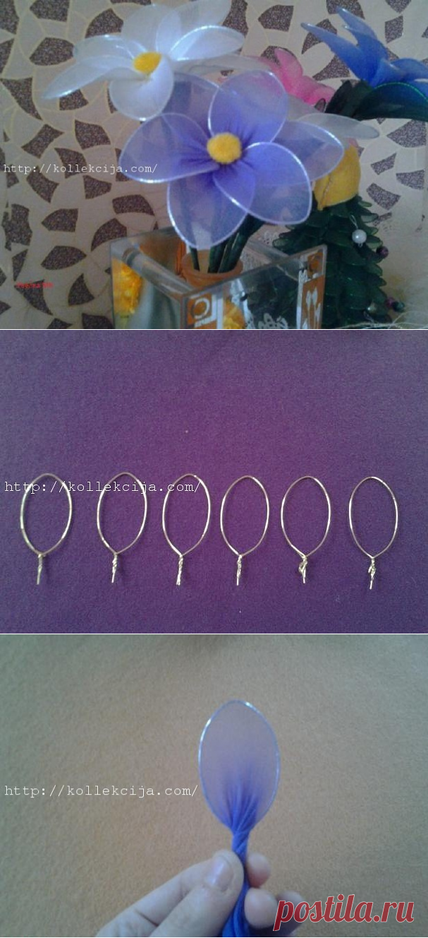 Одноклассники