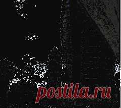 Поедем в Хайфу на праздник? | Мир вокруг нас