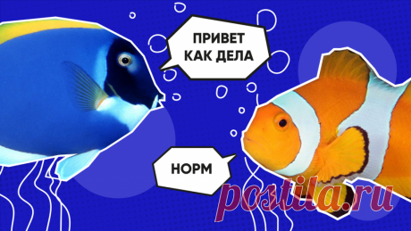 FaktoDrom.com | Познавательная энциклопедия фактов