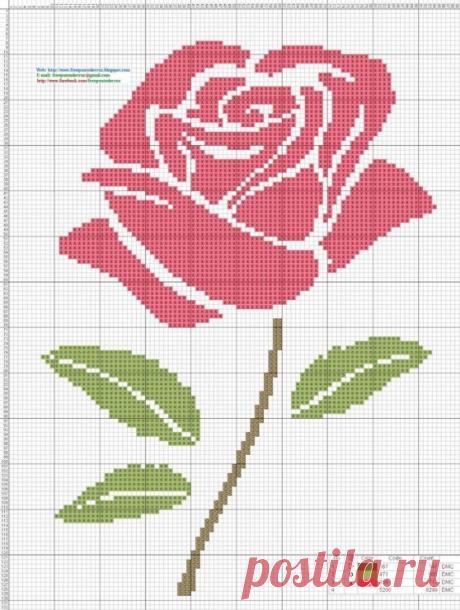 Идеи с жаккардом розы