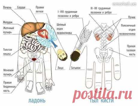 Удивительный метод от Любых заболеваний! | Народная медицина