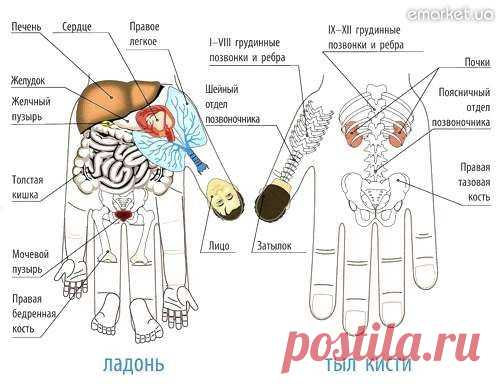 Удивительный метод от Любых заболеваний! | Народная медицина