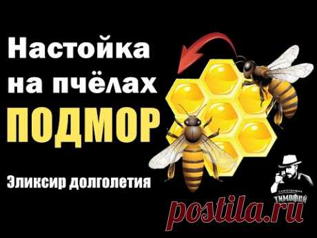 Настойка на пчёлах. Как? Зачем? ПОДМОР ПЧЕЛИНЫЙ - Эликсир Долголетия - лечебные свойства подмора