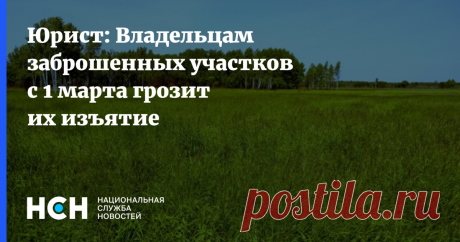 9-2-25- В РФ владельцам ЗАБРОШЕННЫХ ЗЕМЕЛЬНЫХ участков с 1 МАРТА 2025 может грозить их ИЗЪЯТИЕ.