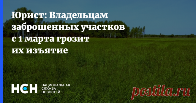 9-2-25- В РФ владельцам ЗАБРОШЕННЫХ ЗЕМЕЛЬНЫХ участков с 1 МАРТА 2025 может грозить их ИЗЪЯТИЕ.