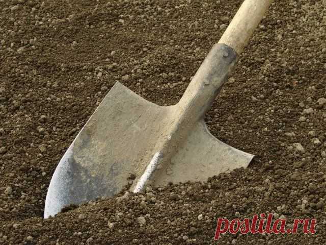 Подготовка огорода к зиме – все про осеннюю обработку почвы