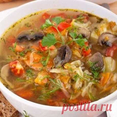 СУПНЫЙ ДЕНЬ. Самые вкусные щи (подборка рецептов)