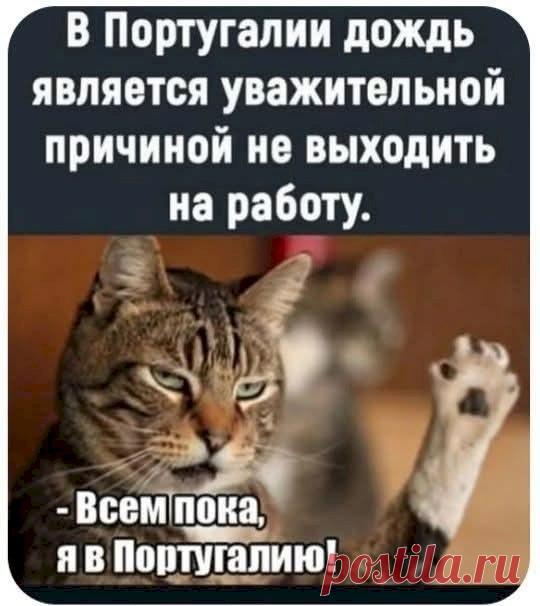 b3621464.jpg (540×606)