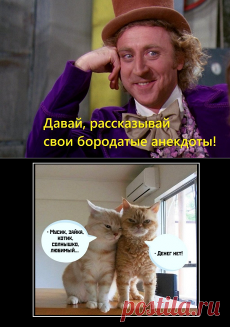 Сидит обезьяна на берегу и курит... Проверенные временем анекдоты плюс весёлые картинки. | Моя Поляна | Яндекс Дзен