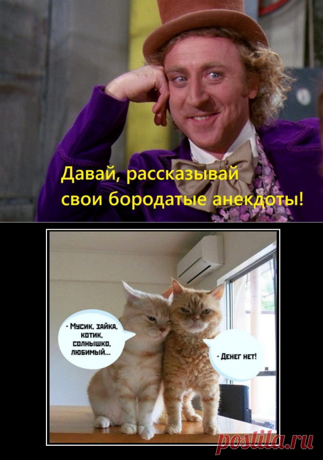 Сидит обезьяна на берегу и курит... Проверенные временем анекдоты плюс весёлые картинки. | Моя Поляна | Яндекс Дзен